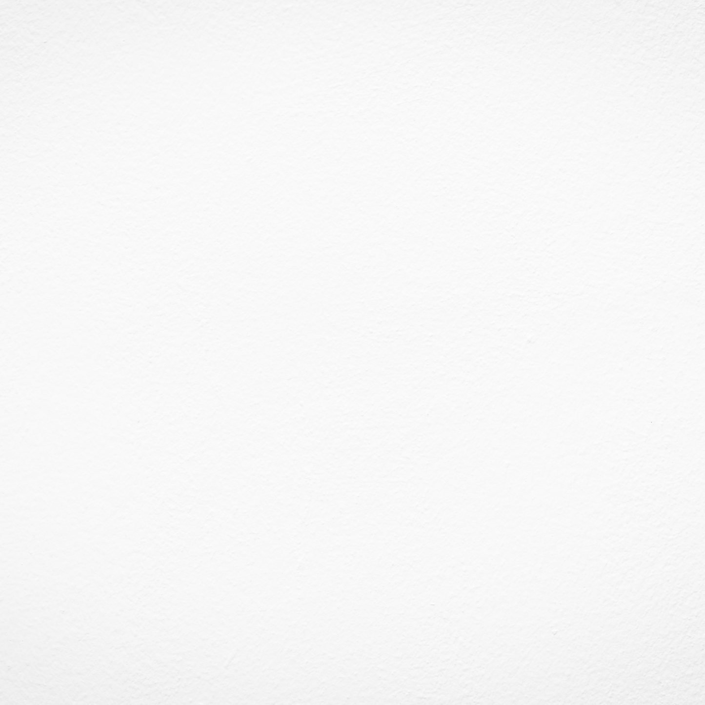 Blanco Ártico