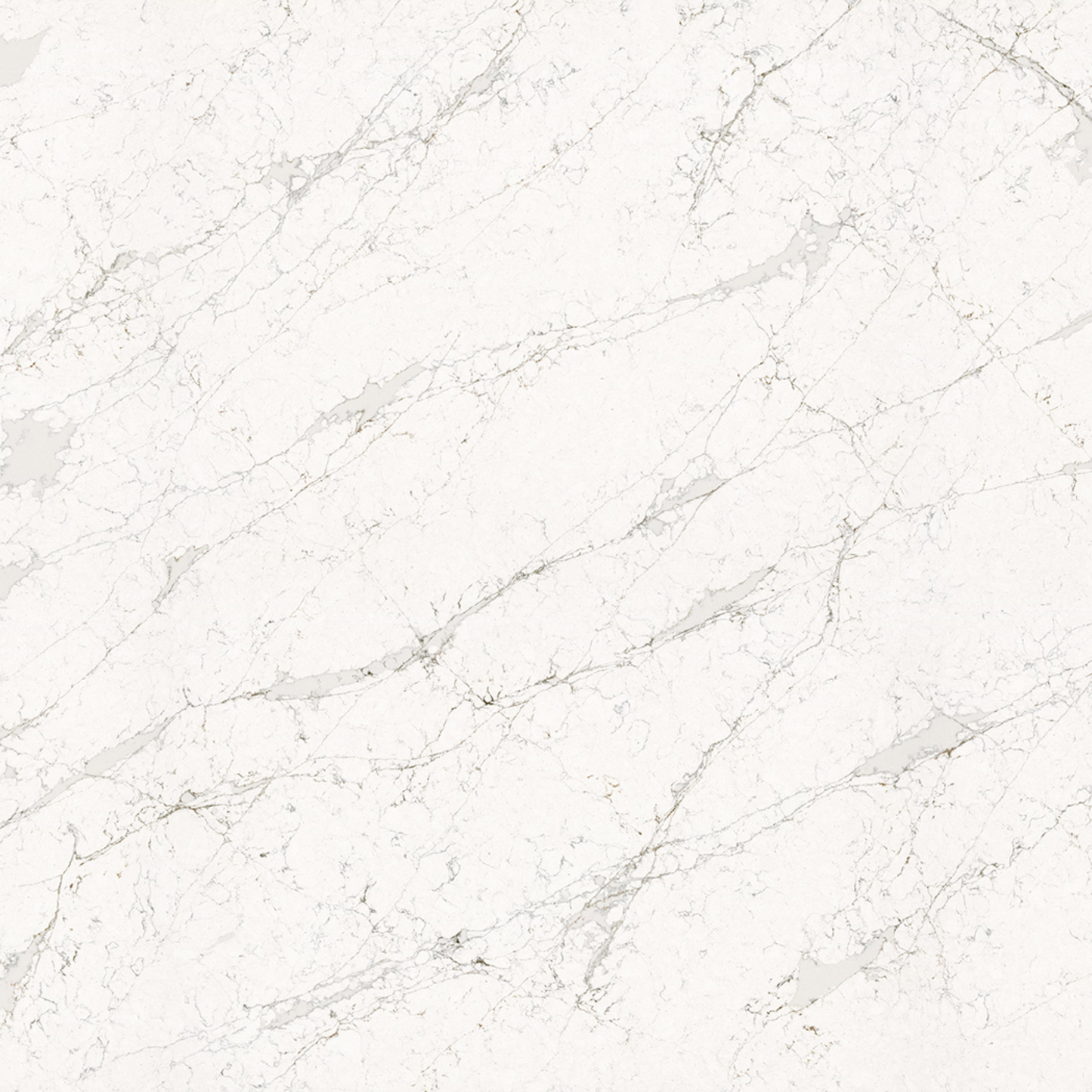 Calacatta Volegn Q4067