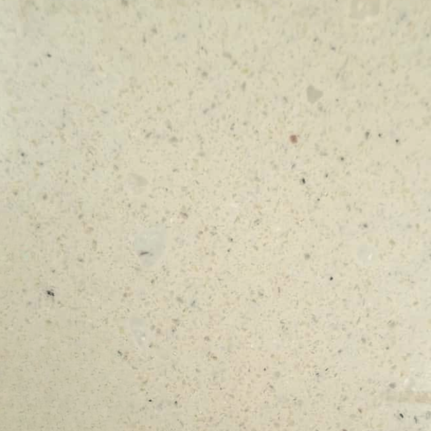 Arena Beige C