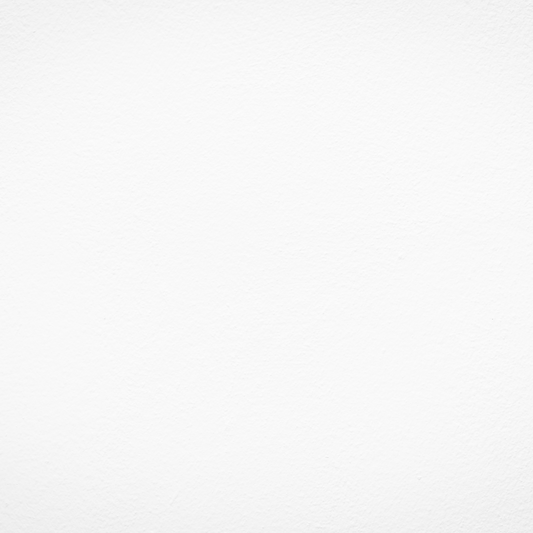 Blanco Ártico