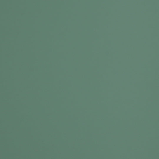 VERDE BRAC