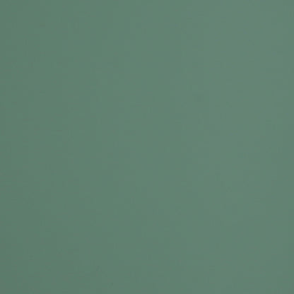 VERDE BRAC