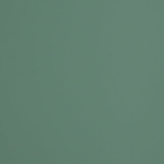VERDE BRAC
