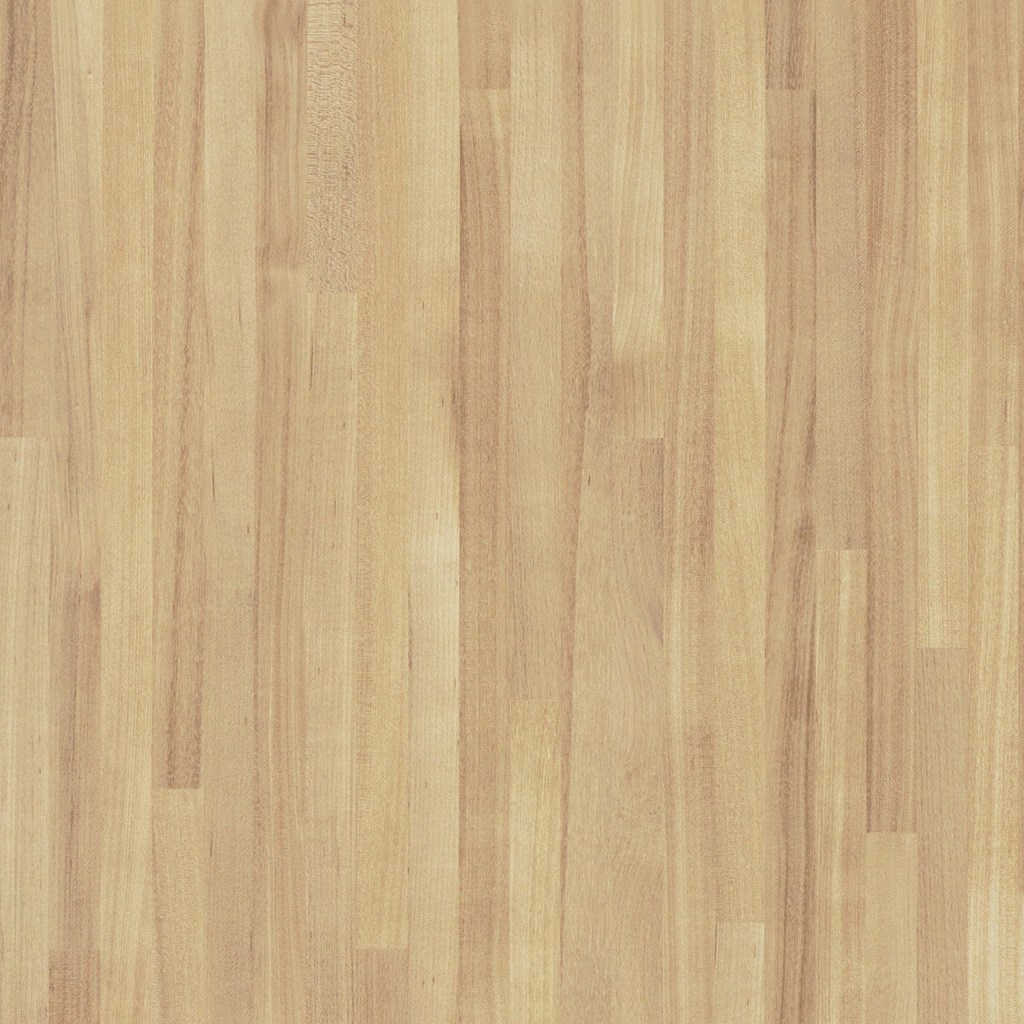 Maple Claro 7972k-12