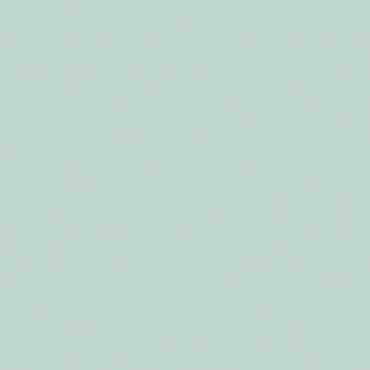 RAUVISIO Crystal HG Menta