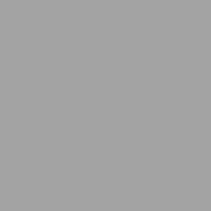 SPACE SILVER / GRAPHITE GREY