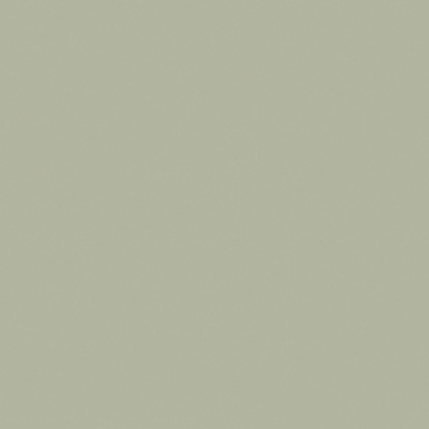 ARCTIC WHITE / ARCTIC WHITE