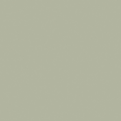 ARCTIC WHITE / ARCTIC WHITE
